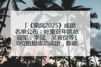 《乘风2025》成团名单公布：叶童获年度总冠军，李晟、吴宣仪等10位姐姐成功成团，陈德容获年度高光人物