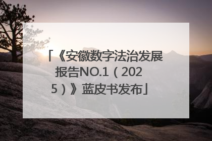 《安徽数字法治发展报告NO.1（2025）》蓝皮书发布