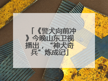 《警犬向前冲》今晚山东卫视播出，“神犬奇兵”炼成记