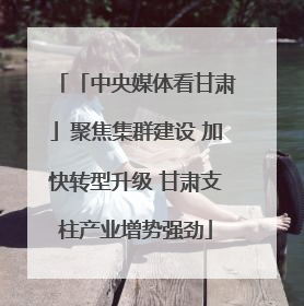 「中央媒体看甘肃」聚焦集群建设 加快转型升级 甘肃支柱产业增势强劲