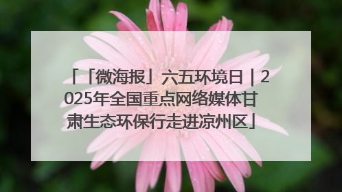 「微海报」六五环境日｜2025年全国重点网络媒体甘肃生态环保行走进凉州区