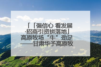 「强信心 看发展·招商引资拼落地」高原牧场“牛”劲足——甘肃华予高原牧场高标准奶牛肉牛养殖项目一线见闻