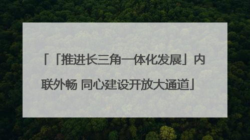 「推进长三角一体化发展」内联外畅 同心建设开放大通道