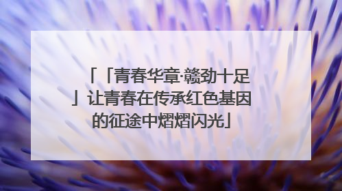 「青春华章·赣劲十足」让青春在传承红色基因的征途中熠熠闪光