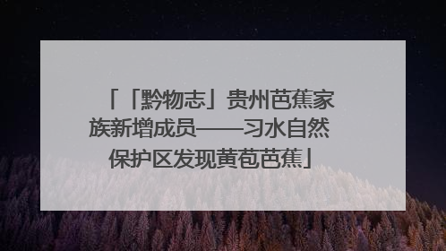 「黔物志」贵州芭蕉家族新增成员——习水自然保护区发现黄苞芭蕉