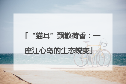 “猫耳”飘散荷香：一座江心岛的生态蜕变