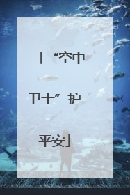 “空中卫士”护平安