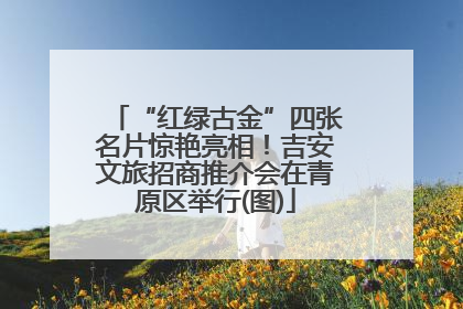 “红绿古金”四张名片惊艳亮相！吉安文旅招商推介会在青原区举行(图)