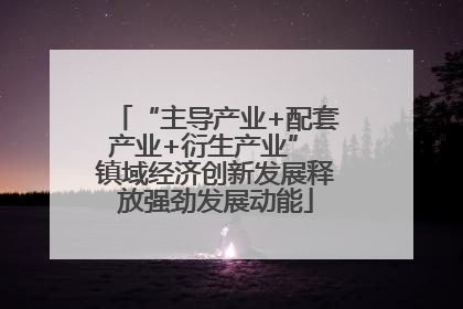 “主导产业+配套产业+衍生产业” 镇域经济创新发展释放强劲发展动能