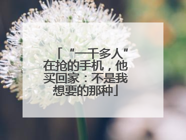 “一千多人”在抢的手机，他买回家：不是我想要的那种