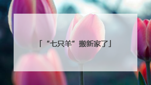 “七只羊”搬新家了