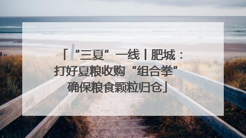 “三夏”一线丨肥城：打好夏粮收购“组合拳” 确保粮食颗粒归仓