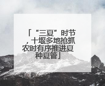 “三夏”时节，十堰多地抢抓农时有序推进夏种夏管