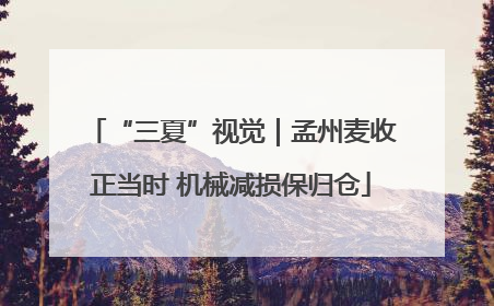 “三夏”视觉｜孟州麦收正当时 机械减损保归仓