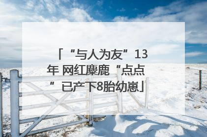 “与人为友”13年 网红麋鹿“点点”已产下8胎幼崽