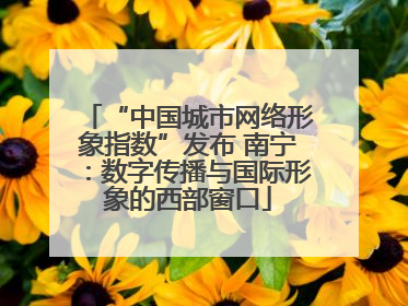 “中国城市网络形象指数”发布 南宁：数字传播与国际形象的西部窗口