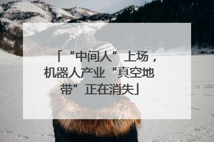 “中间人”上场，机器人产业“真空地带”正在消失