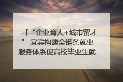 “企业育人+城市留才” 宜宾构建全链条就业服务体系促高校毕业生就业｜您牵挂的四川