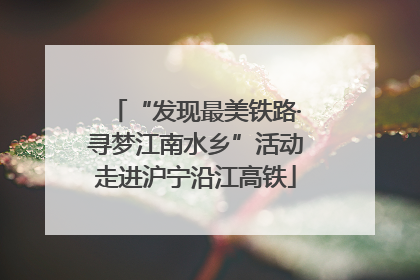 “发现最美铁路·寻梦江南水乡”活动走进沪宁沿江高铁