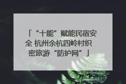 “十能”赋能民宿安全 杭州余杭四岭村织密旅游“防护网”