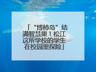 “博柿岛”结满智慧果！松江这所学校的学生在校园里探险