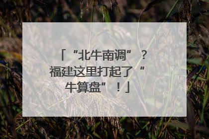 “北牛南调”？福建这里打起了“牛算盘”！