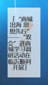 “商城出海 思想先行”——“双会”进商城学习调研活动在临沂顺利开展