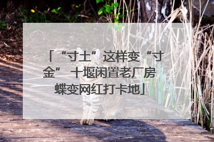 “寸土”这样变“寸金” 十堰闲置老厂房蝶变网红打卡地