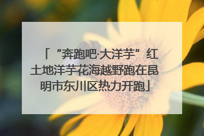 “奔跑吧·大洋芋”红土地洋芋花海越野跑在昆明市东川区热力开跑