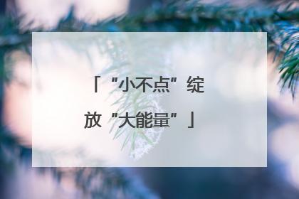 “小不点”绽放“大能量”
