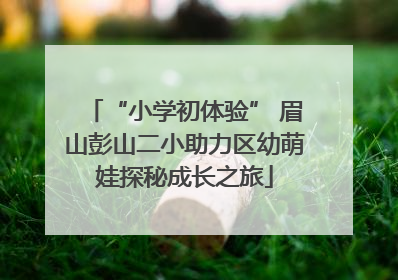 “小学初体验” 眉山彭山二小助力区幼萌娃探秘成长之旅