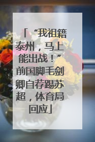 “我祖籍泰州，马上能出战！”前国脚毛剑卿自荐踢苏超，体育局回应