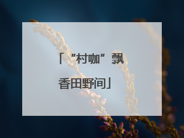 “村咖”飘香田野间