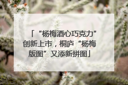 “杨梅酒心巧克力”创新上市，桐庐“杨梅版图”又添新拼图