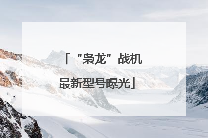 “枭龙”战机最新型号曝光