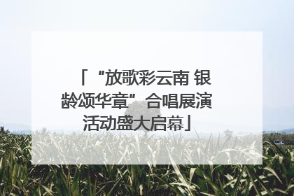 “放歌彩云南 银龄颂华章”合唱展演活动盛大启幕