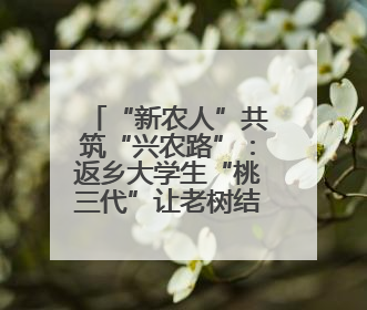 “新农人”共筑“兴农路”：返乡大学生“桃三代”让老树结新果