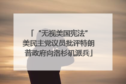 “无视美国宪法” 美民主党议员批评特朗普政府向洛杉矶派兵