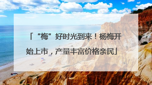 “梅”好时光到来！杨梅开始上市，产量丰富价格亲民