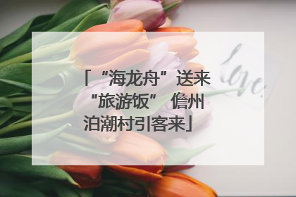 “海龙舟”送来“旅游饭” 儋州泊潮村引客来