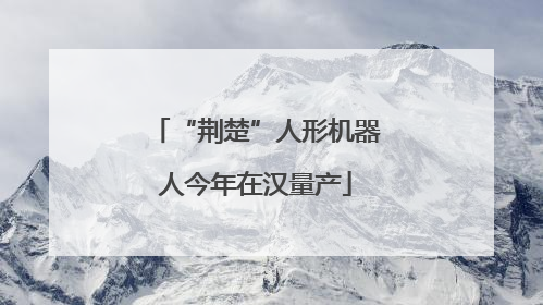 “荆楚”人形机器人今年在汉量产