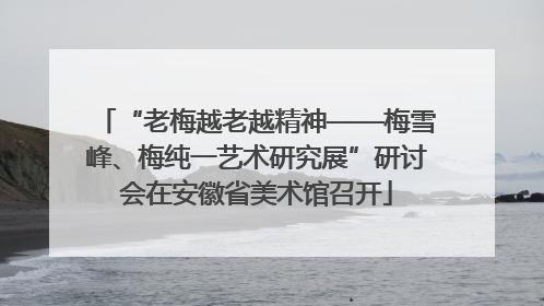 “老梅越老越精神——梅雪峰、梅纯一艺术研究展”研讨会在安徽省美术馆召开