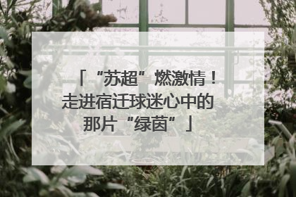 “苏超”燃激情！走进宿迁球迷心中的那片“绿茵”
