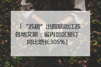 “苏超”出圈联动江苏各地文旅：省内景区预订同比增长305%