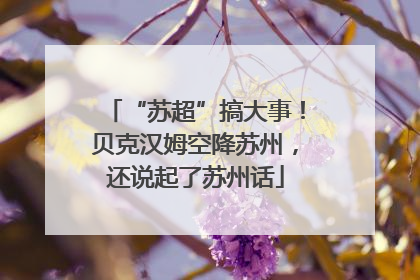 “苏超”搞大事！贝克汉姆空降苏州，还说起了苏州话