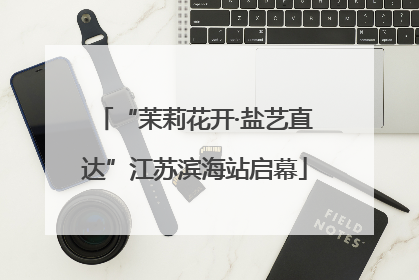 “茉莉花开·盐艺直达”江苏滨海站启幕