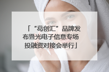 “葛创汇”品牌发布暨光电子信息专场投融资对接会举行