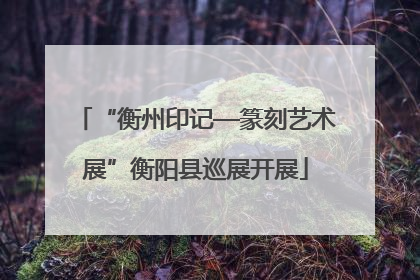 “衡州印记—篆刻艺术展”衡阳县巡展开展