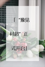 “豫见村超”正式开启