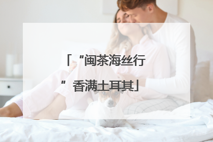 “闽茶海丝行”香满土耳其